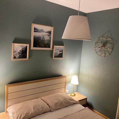 Zlatibor Apartman Lajd エクステリア 写真