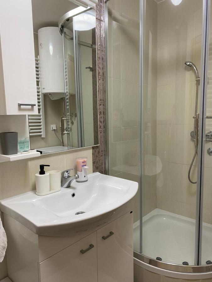 Zlatibor Apartman Lajd エクステリア 写真