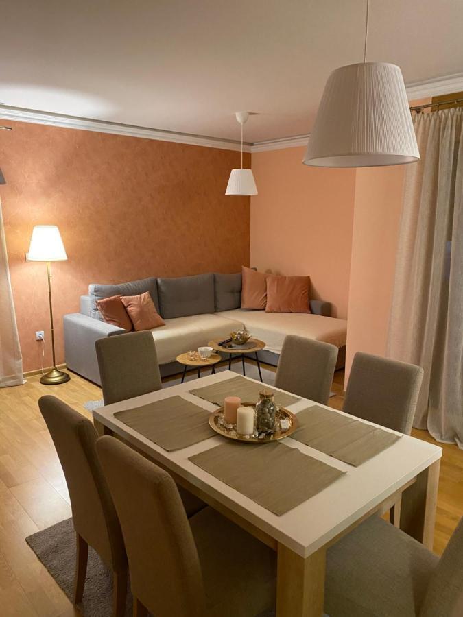 Zlatibor Apartman Lajd エクステリア 写真