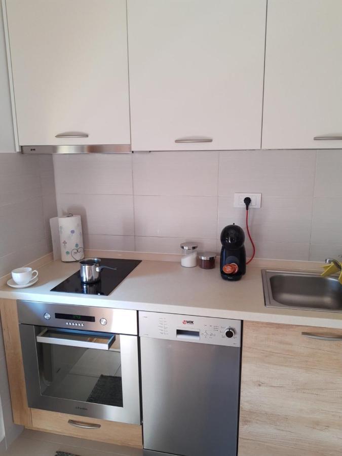 Zlatibor Apartman Lajd エクステリア 写真