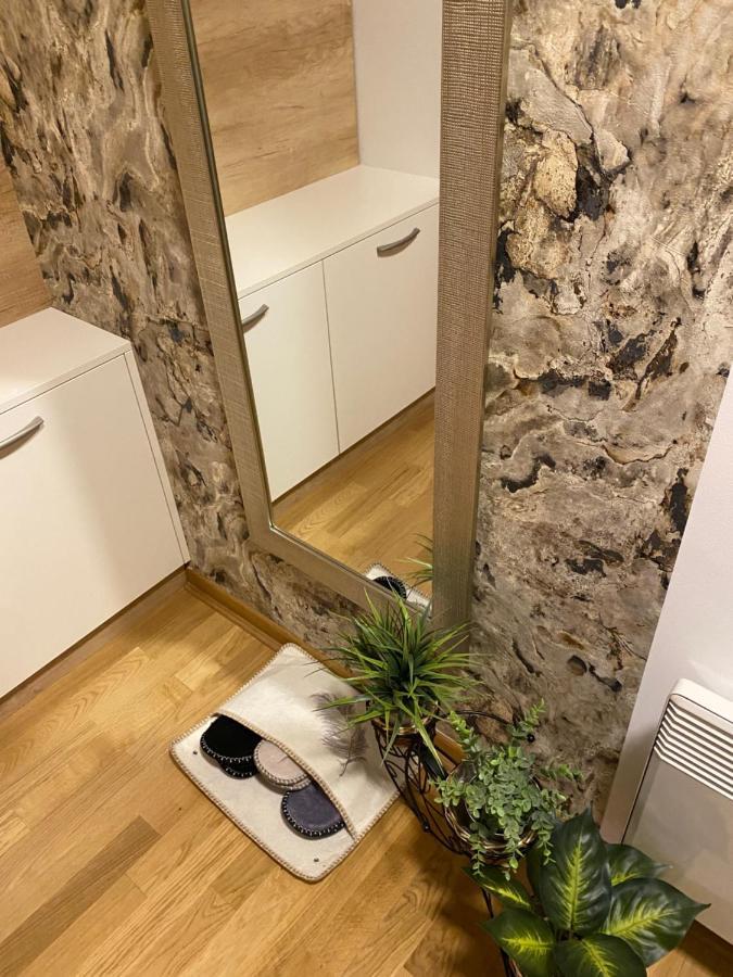 Zlatibor Apartman Lajd エクステリア 写真